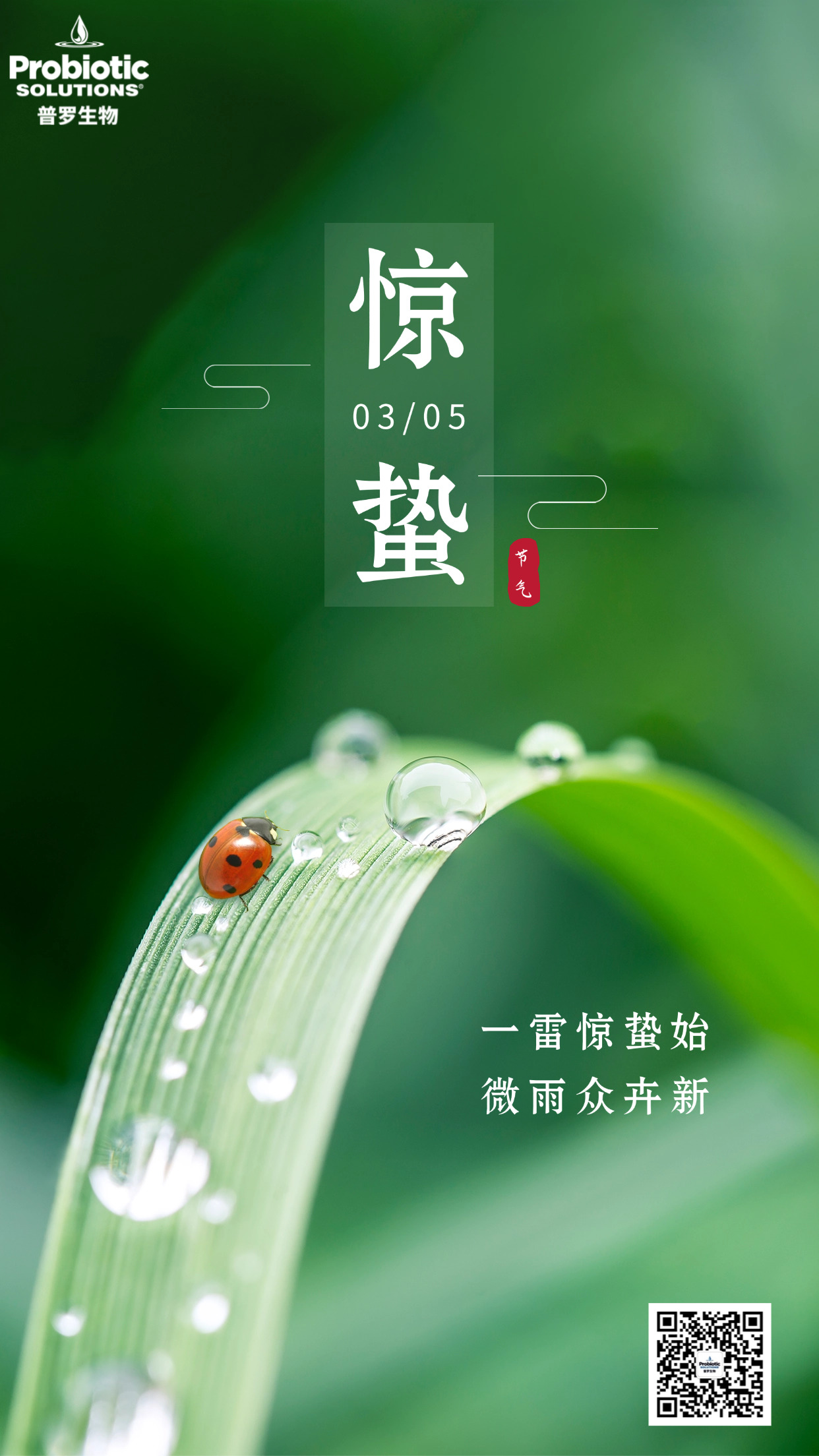 驚蟄.jpg